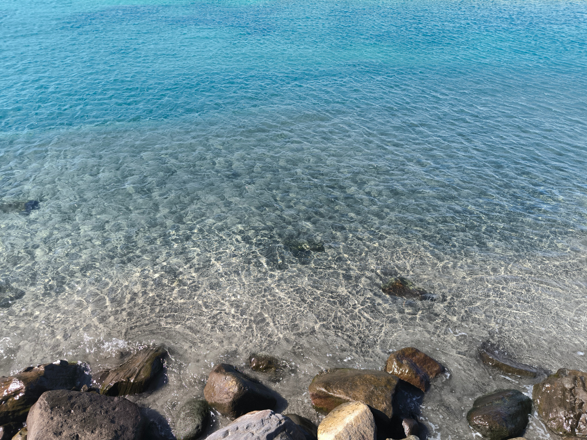 エメラルドグリーン（2025.10.27）の画像