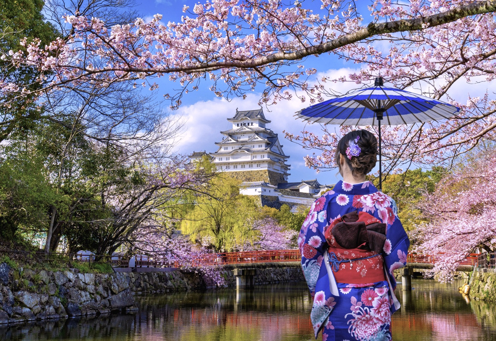 Vol.181  日本人は不動産が好きの画像