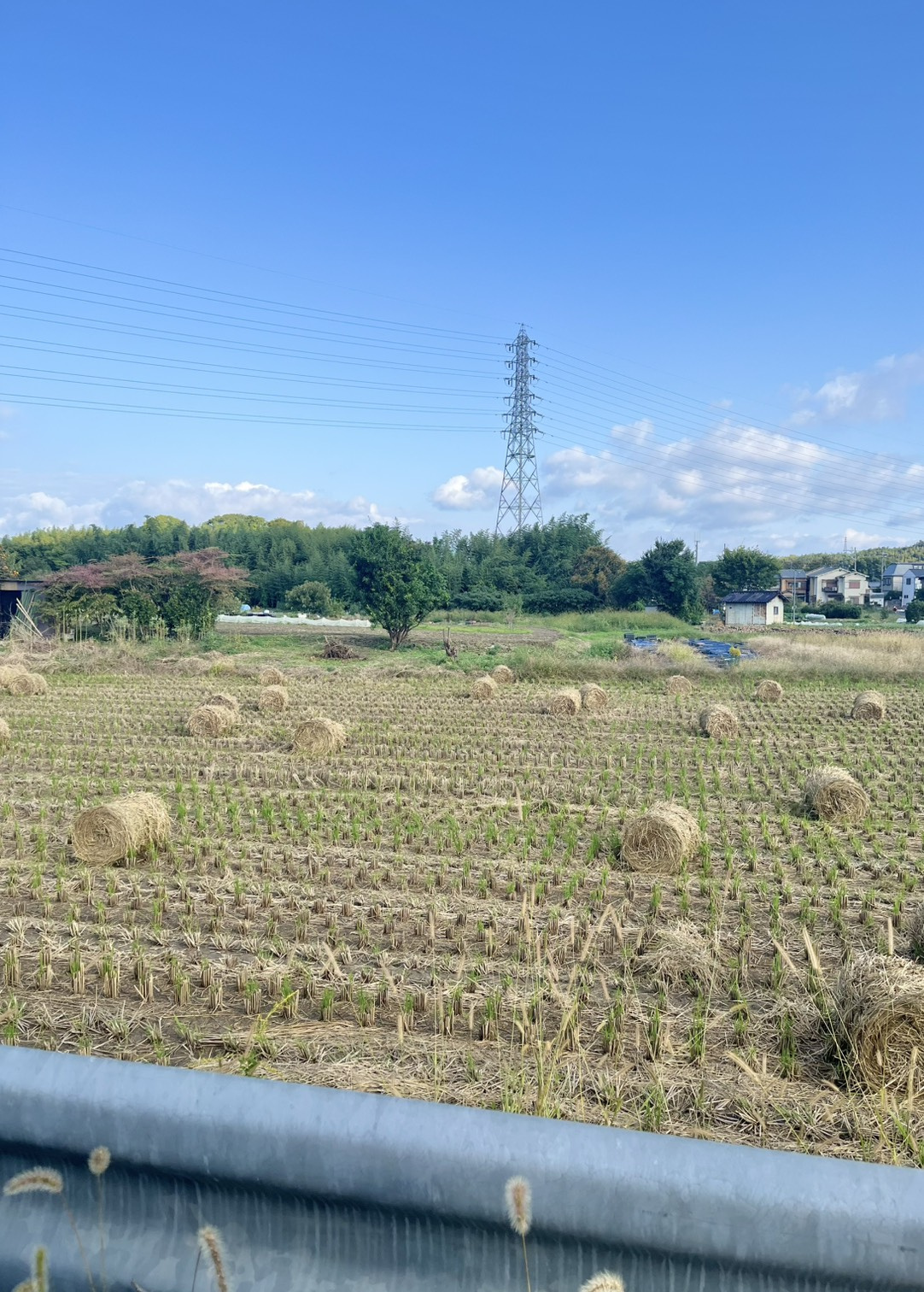 好きな風景♪の画像