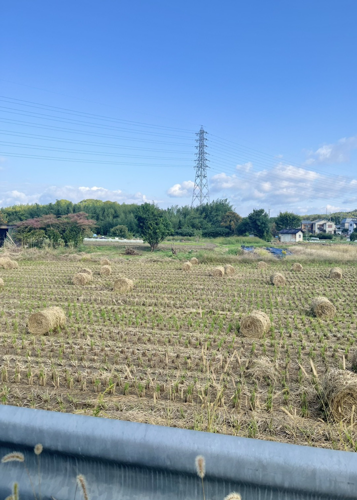 好きな風景♪の画像