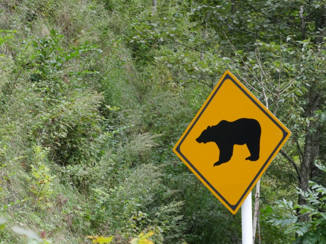 「いつも通る道にクマが…」盛岡で相次ぐ出没に戸惑う日常の画像