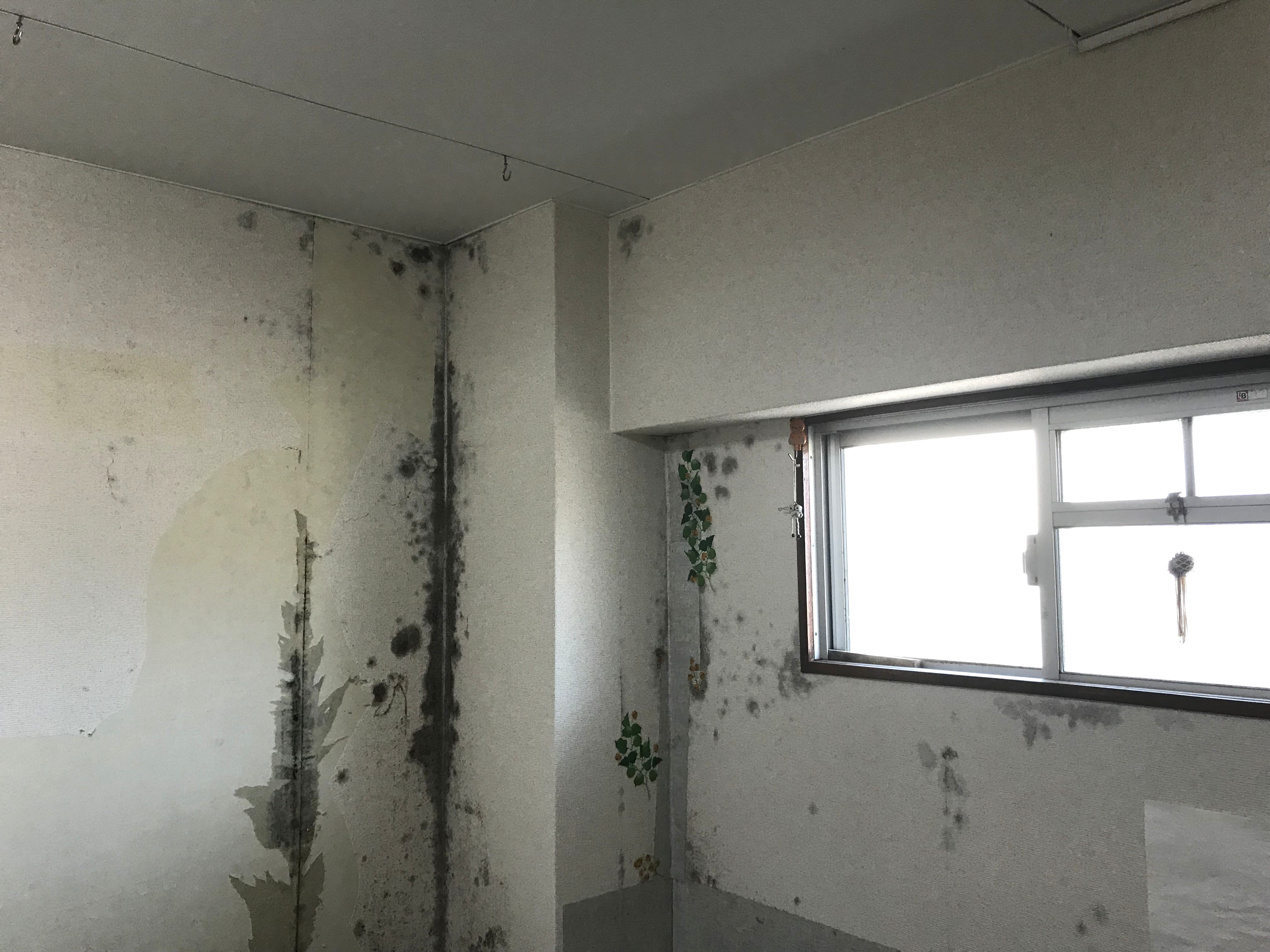 岐阜市の冬の気候とアパート管理者として知っておきたい湿気・カビ対策のポイントの画像