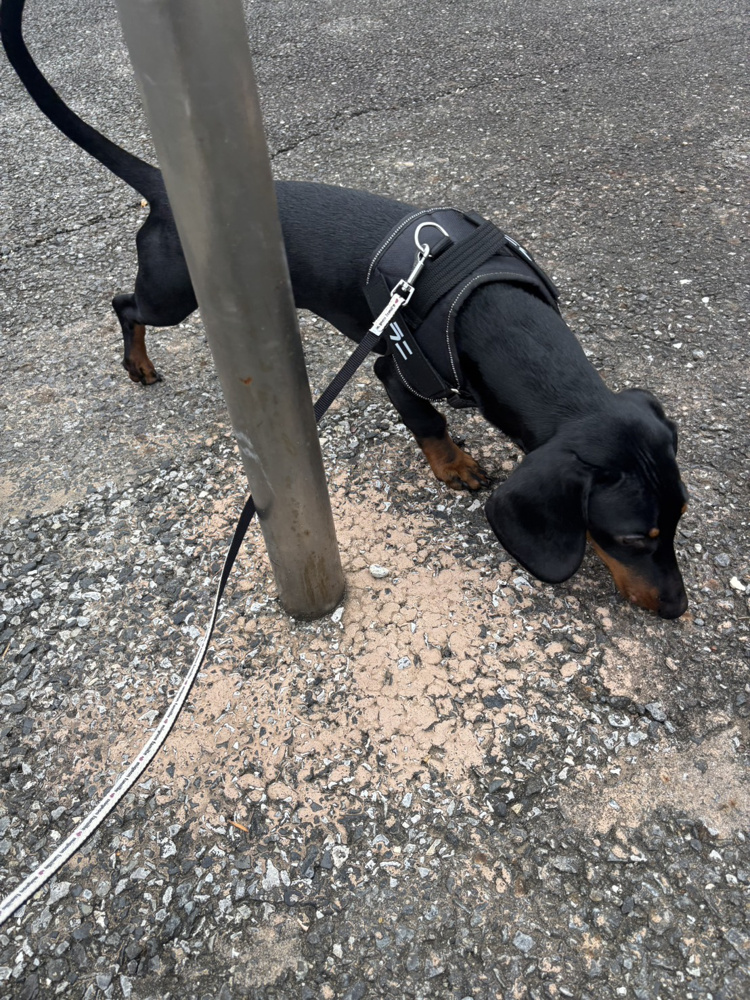 腱鞘炎との闘いの画像