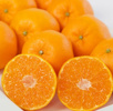 みかんの美味しい季節♡　～みかんの種類って？～の画像