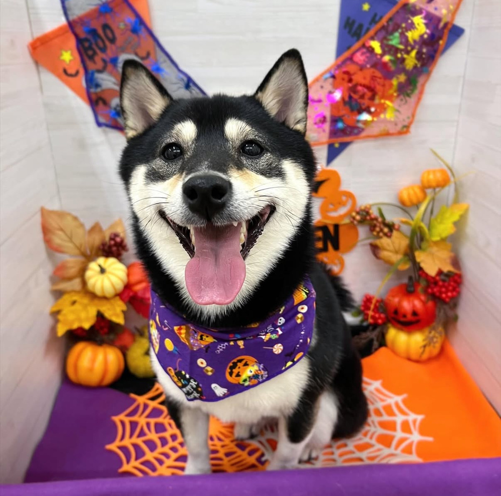 Happy　Birthday✨の画像