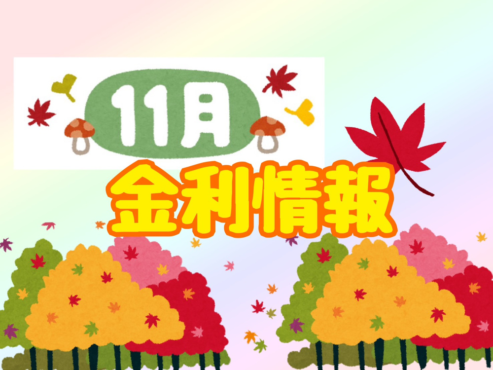 【11月の金利情報お知らせ】の画像