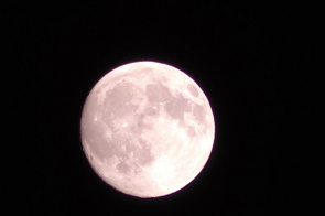 11月5日は夜空を・・の画像