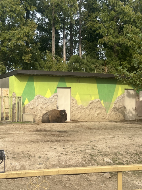 動物園(^^)/の画像
