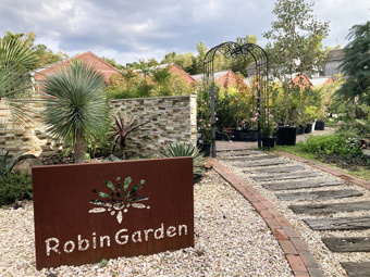 リフレッシュ効果の画像