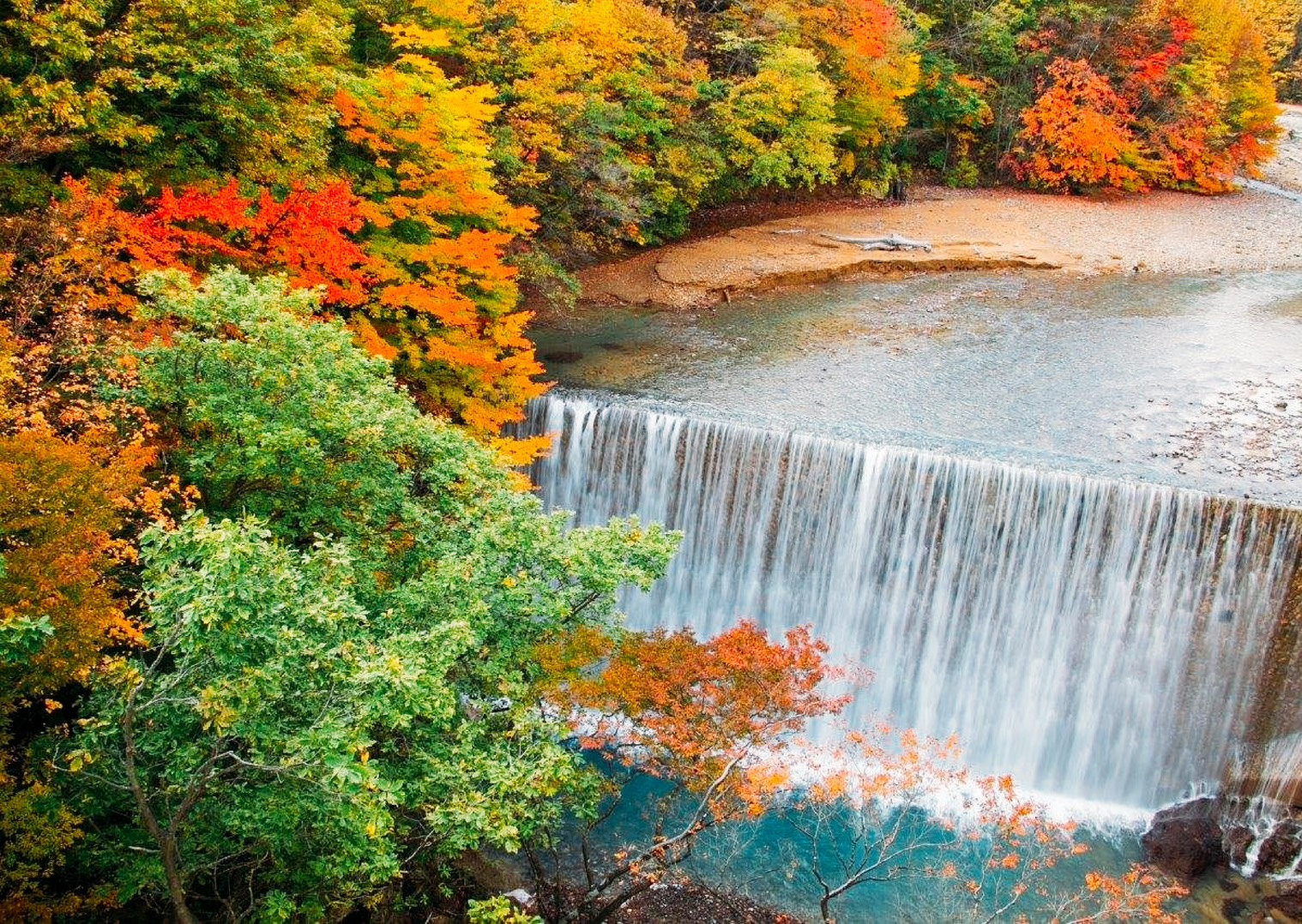 秋のたのしみの画像