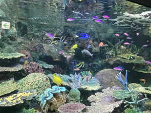 三連休最終日ですが…お部屋探しはいかがですか？の画像