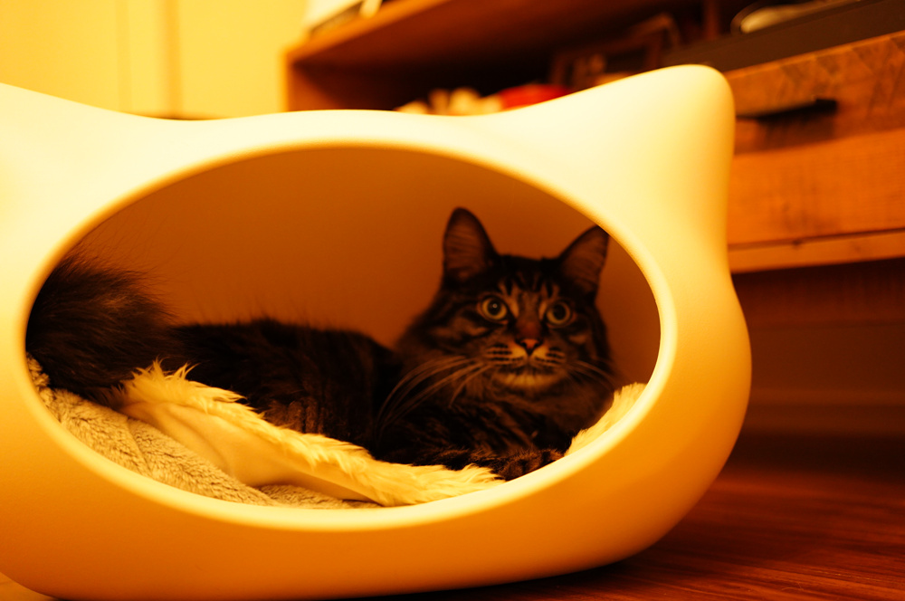 お問合せの変化の画像