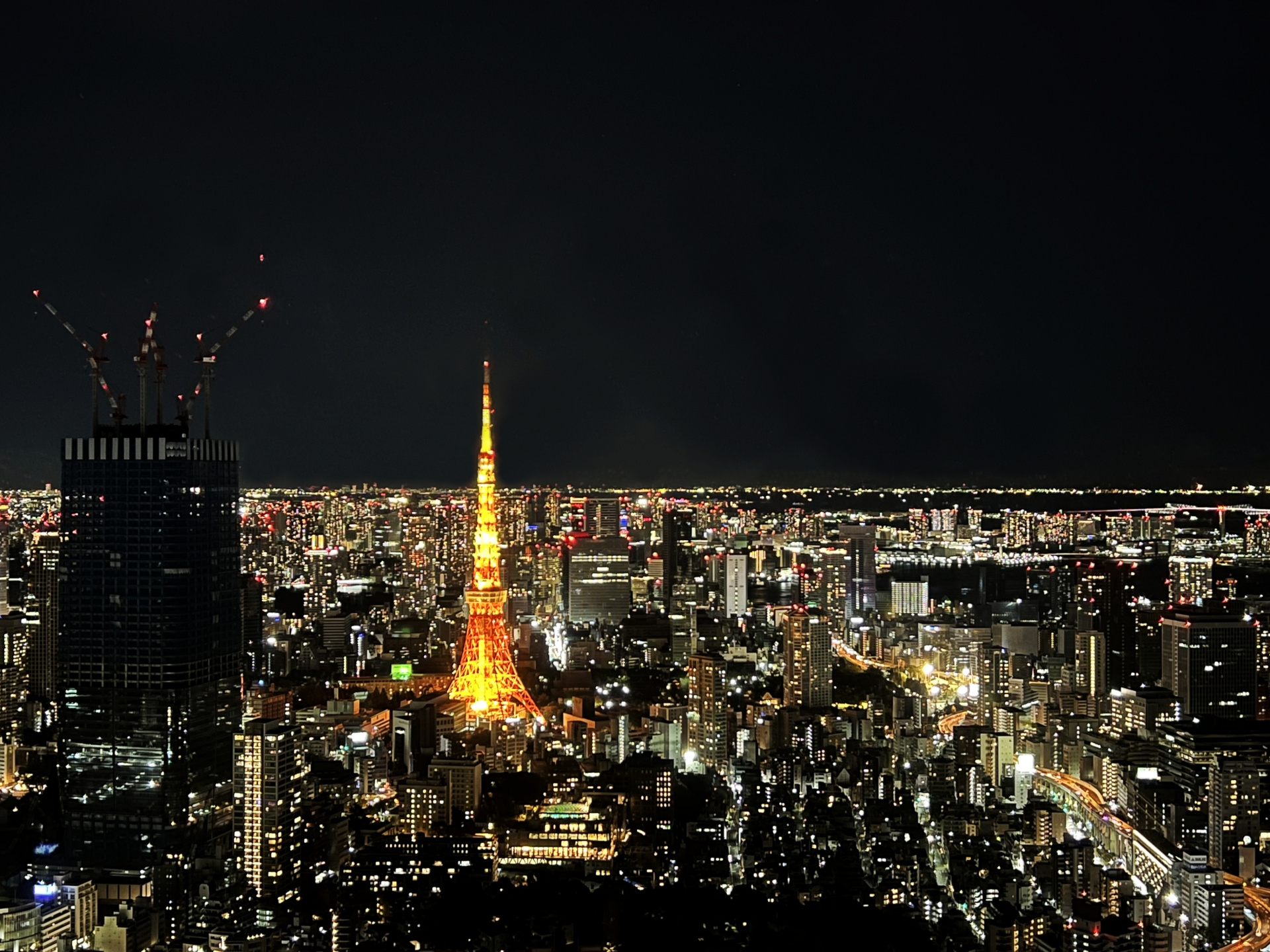 11月6日「冬の光」と暮らす住まいづくりの画像