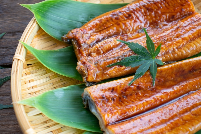 高知市にある「かね春」の概要！うなぎ料理や魅力もご紹介の画像