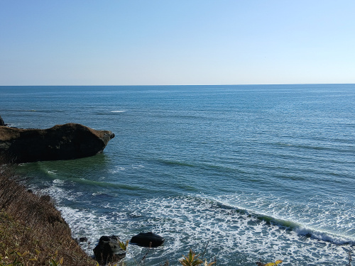 住ムべさ。kusanoブログ「海をみつめて」の画像