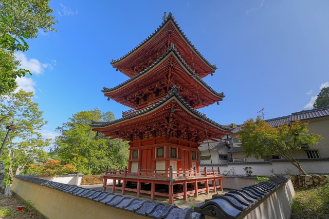 「井山宝福寺」の特徴