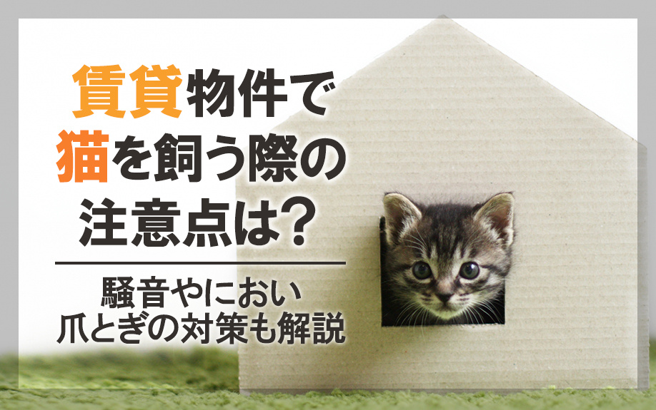 賃貸物件で猫を飼う際の注意点は？騒音やにおい爪とぎの対策も解説の画像