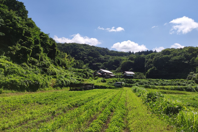 相続税の納税猶予の要件