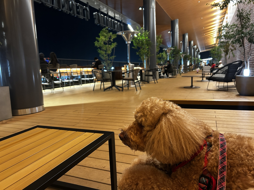 イオンモール土岐の画像