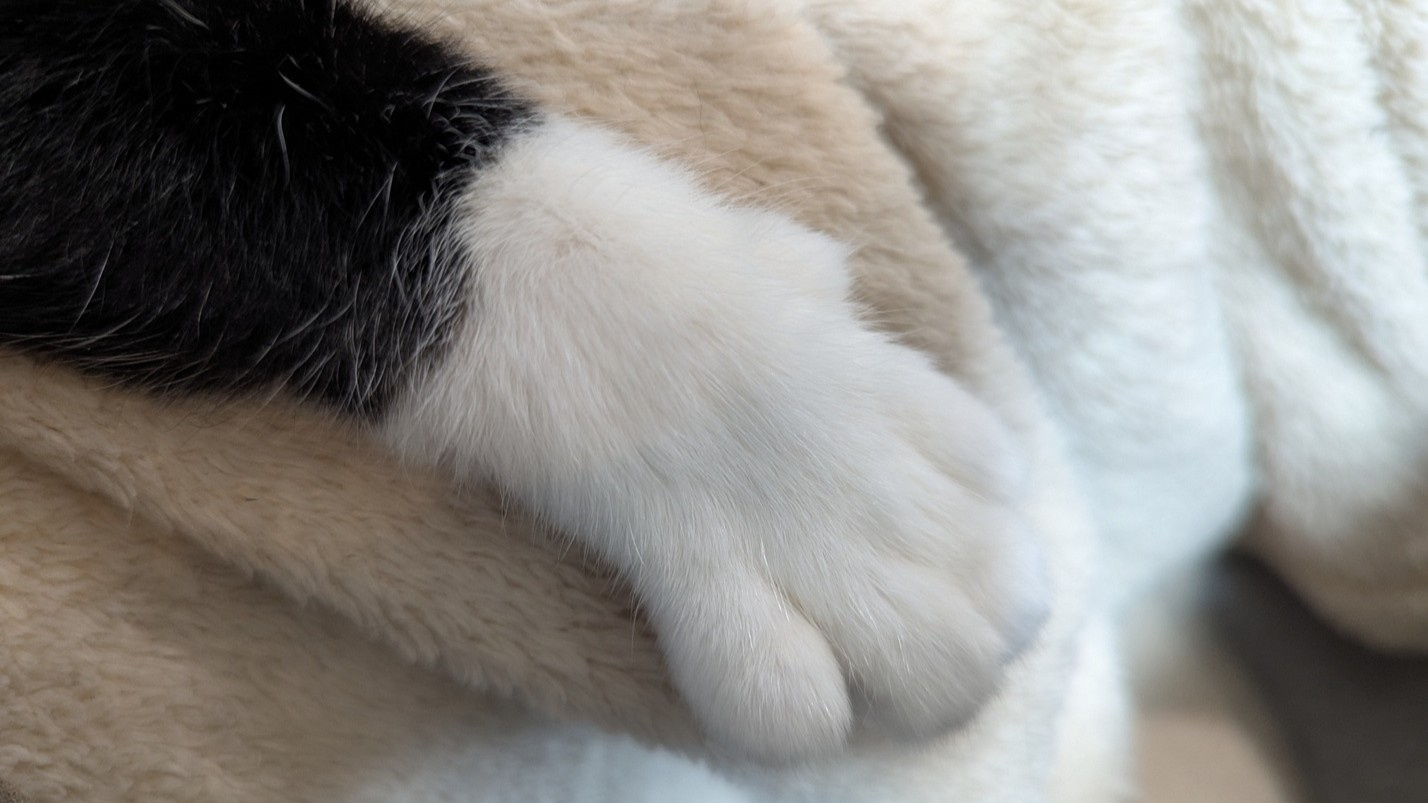 MCAの独り言｜新人エージェントの画像