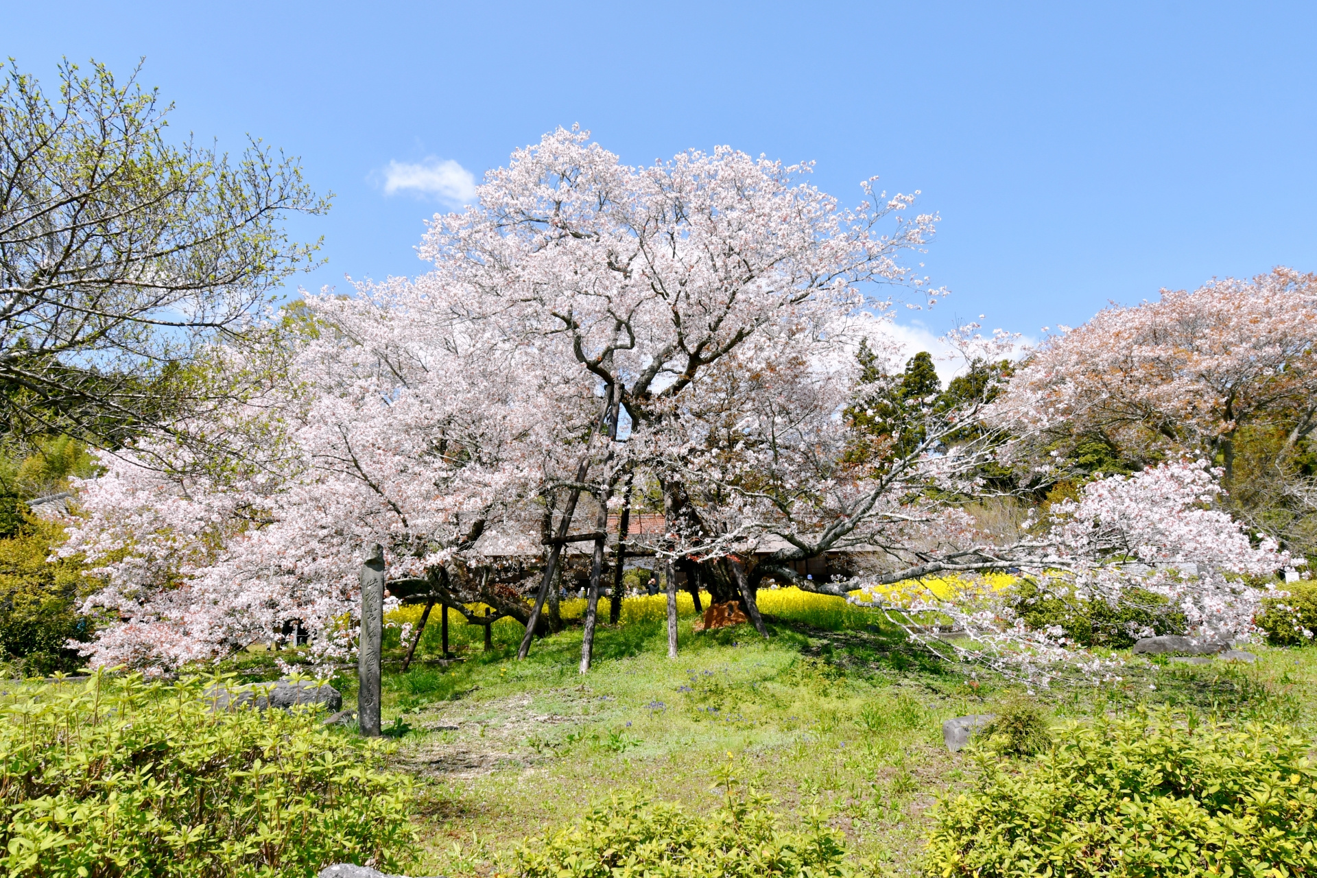 【福岡市・糟屋郡】お子様の未来を考えた賢い住まい選び！知っておきたい学校区（学区）と不動産の関係の画像