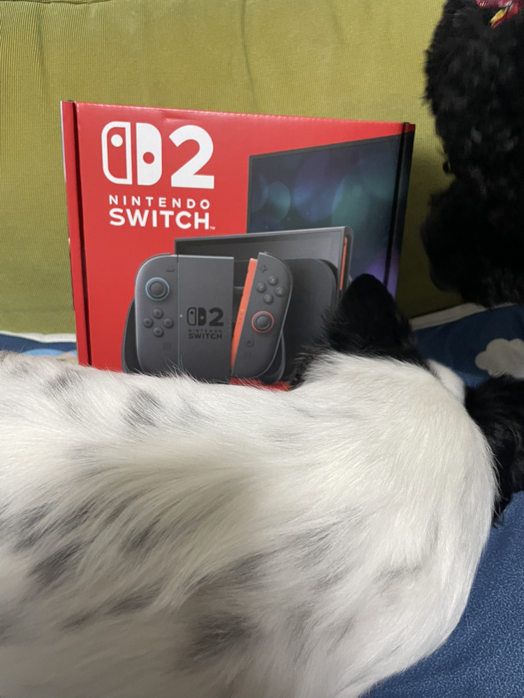 ついに・・・！の画像