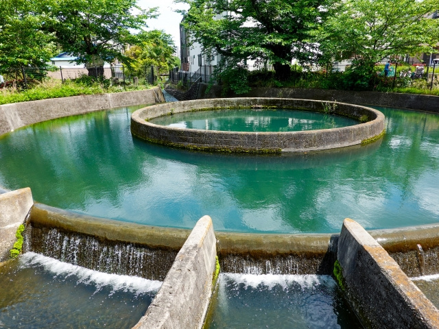 川崎市高津区の住環境