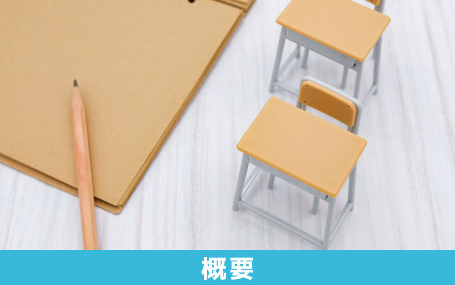 川崎市にある桐光学園小学校の概要