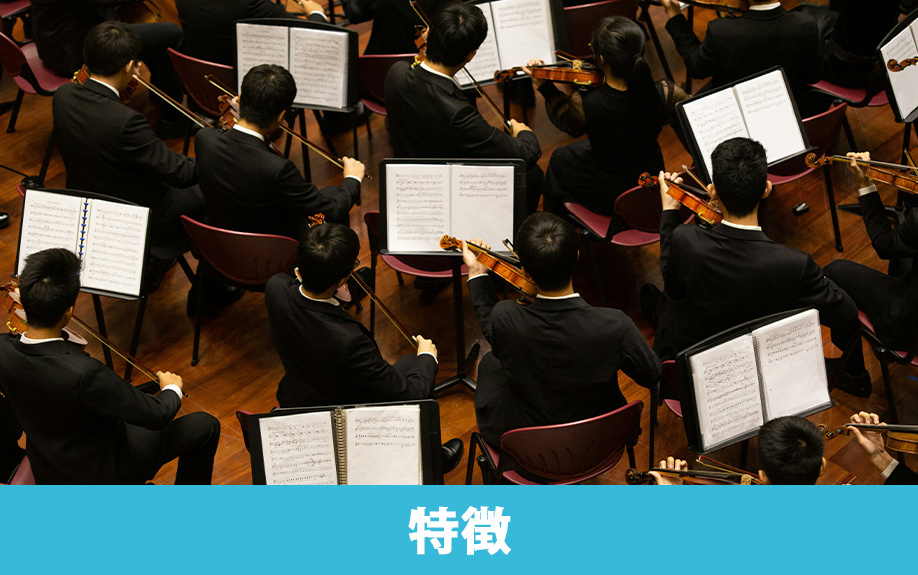 川崎市にある昭和音楽大学の特徴