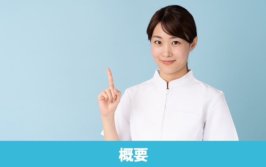 川崎市にある「川崎市立看護大学」の概要