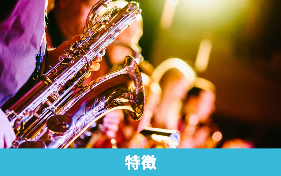 川崎市にある洗足学園音楽大学の特徴は？概要やコースもチェック