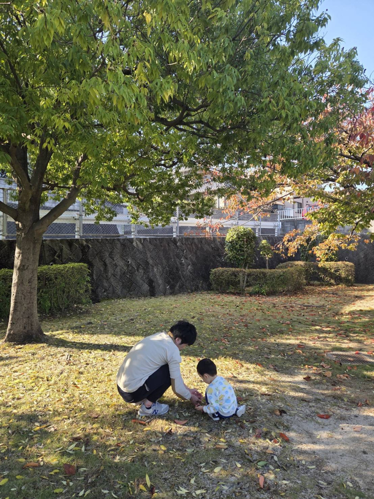 どんぐりころころの画像