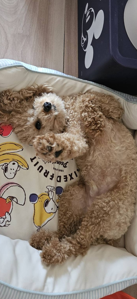 自家製麺 一乃瀬の画像