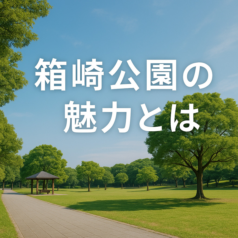 箱崎公園の魅力とはの画像