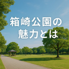 箱崎公園の魅力とはの画像