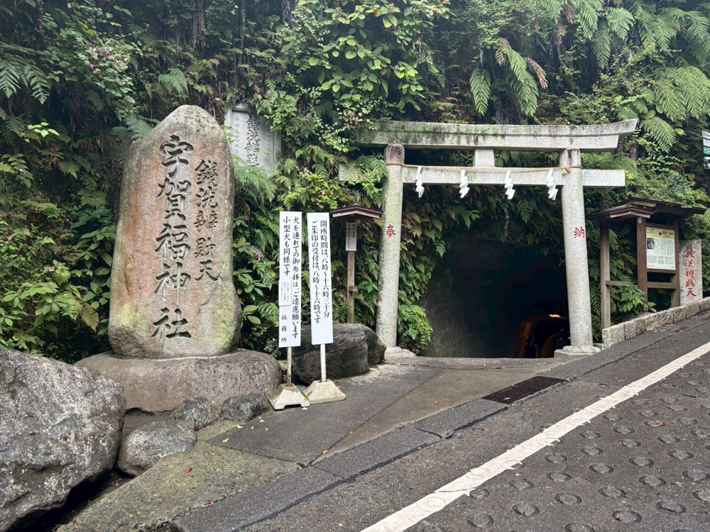 福銭＄の画像