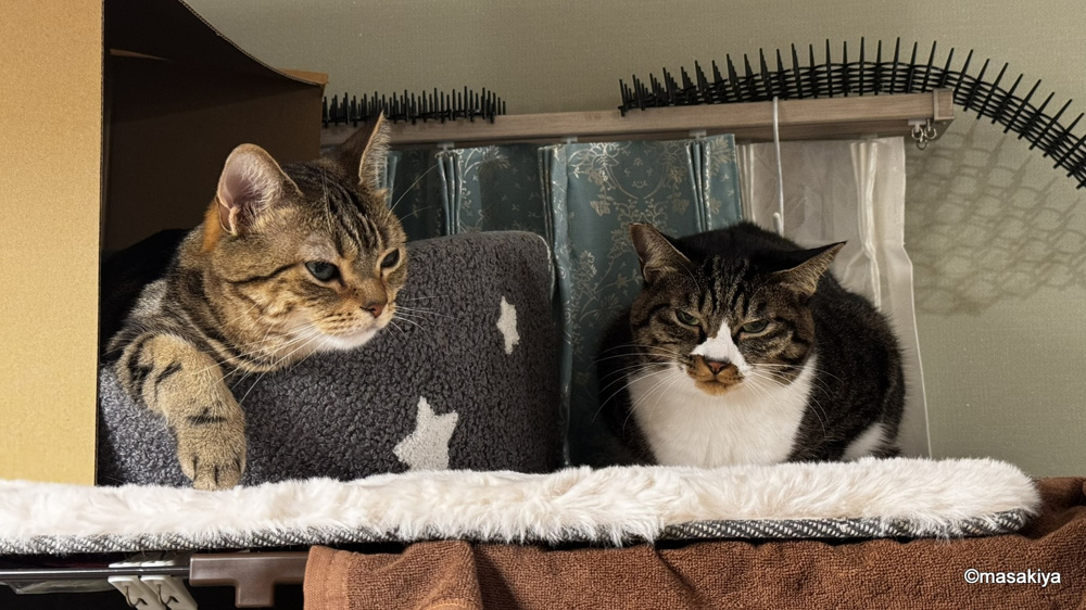 雨の日曜日の画像