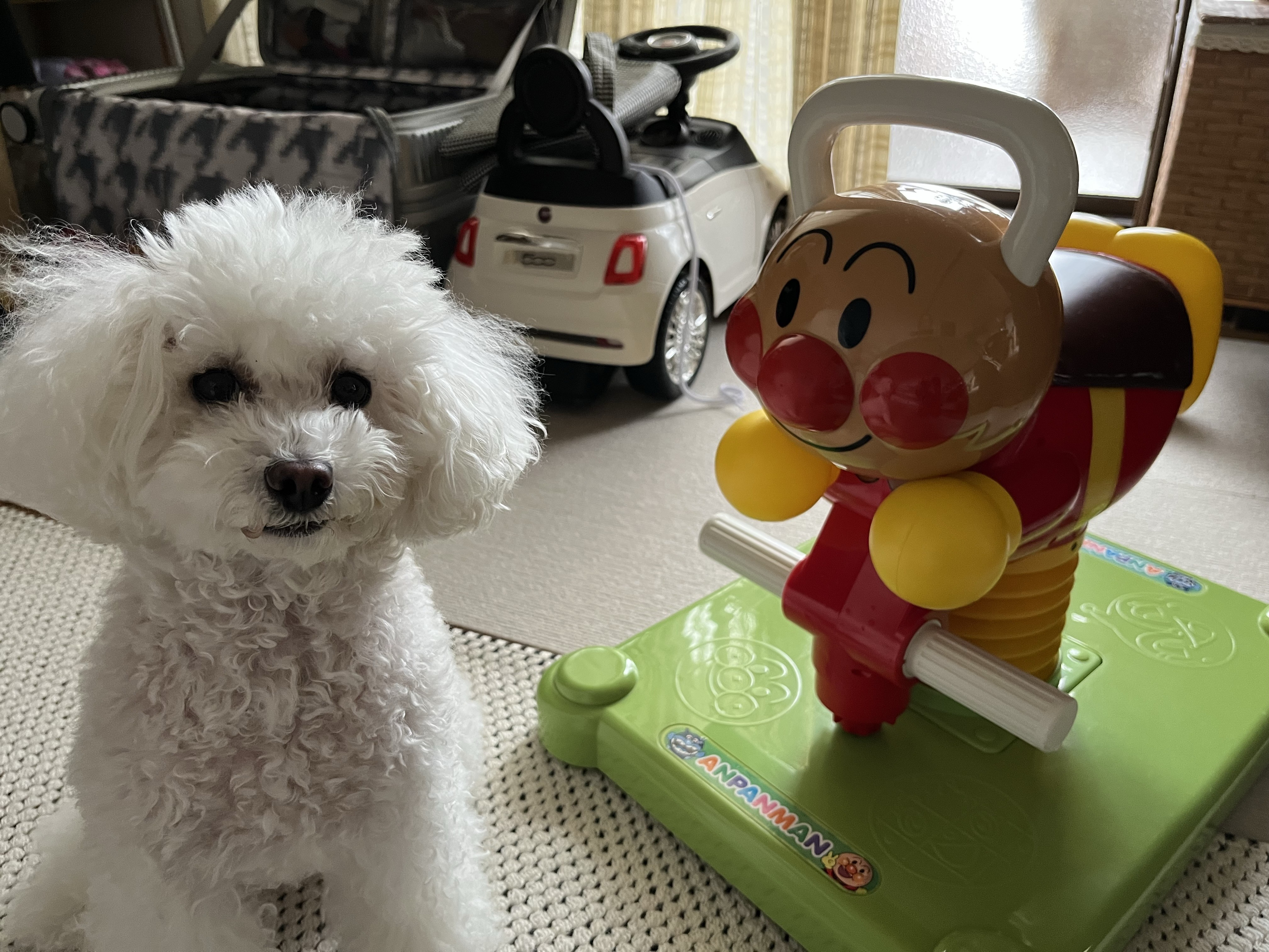 遊園地化の画像