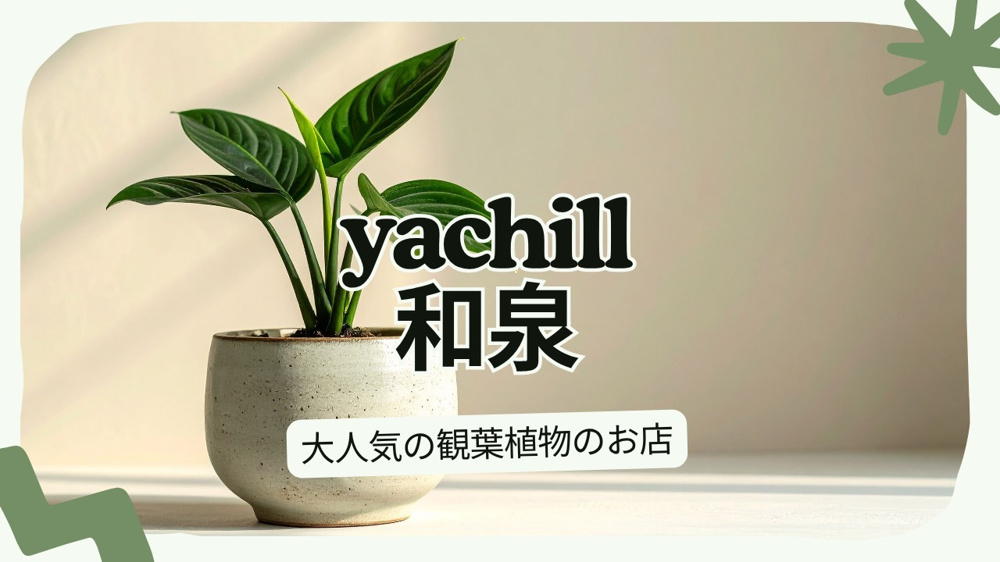 yachill和泉、もう知っていますか？観葉植物好き必見の魅力を紹介の画像
