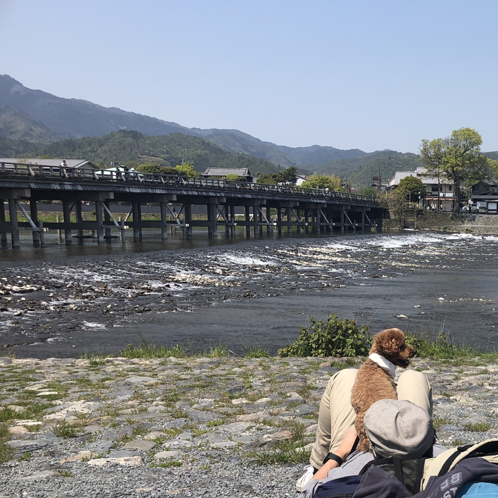 アニメの舞台に暮らす 〜右京区で見つけた地に足のついた夢〜の画像