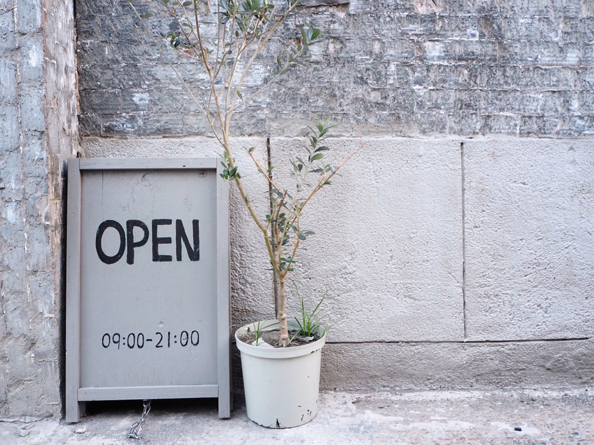 Vol.187  不動産会社を経営したい！これからはじめよ！の画像