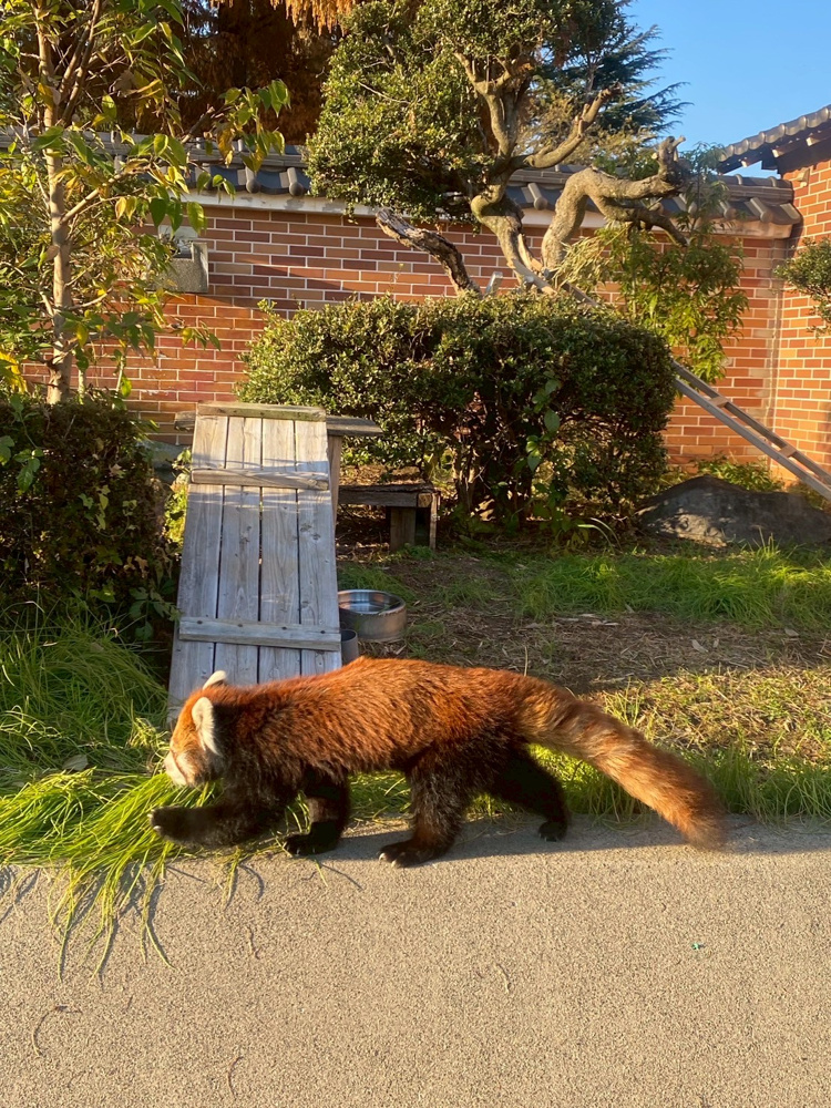 明日は埼玉県民の日！の画像