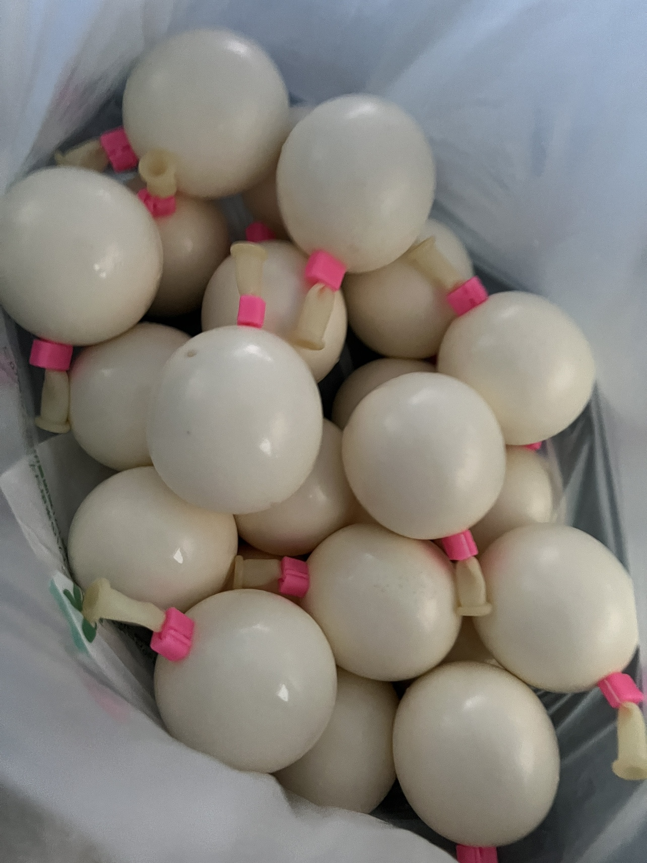 毎日が至福♡の画像