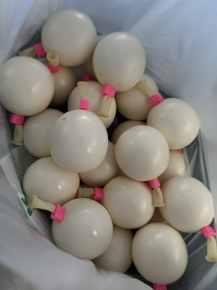 毎日が至福♡の画像