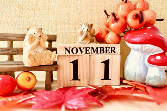 11月15日(土)新聞折込チラシの画像