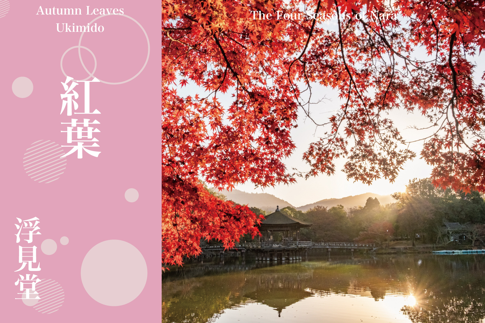 湖面に浮かぶ秋色の舞台──浮見堂で味わう静寂の紅葉時間の画像