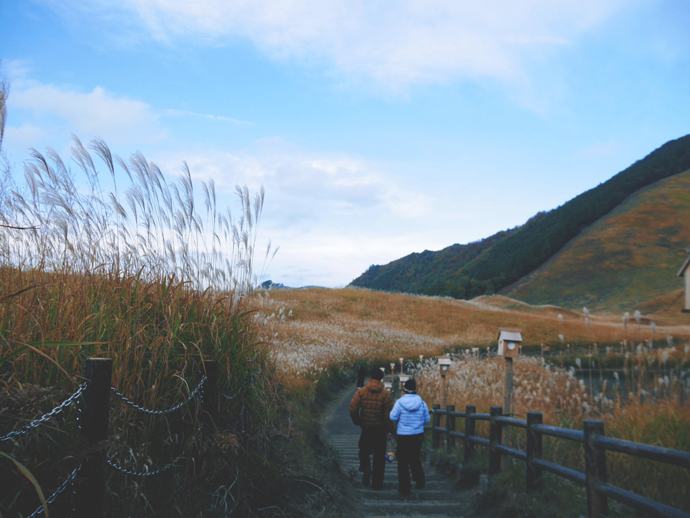 曾爾高原に行って来ました！の画像