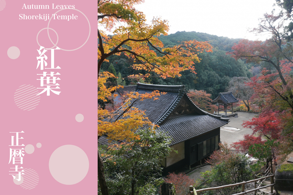錦の山寺──正暦寺で出会う、深まる奈良の紅葉美の画像