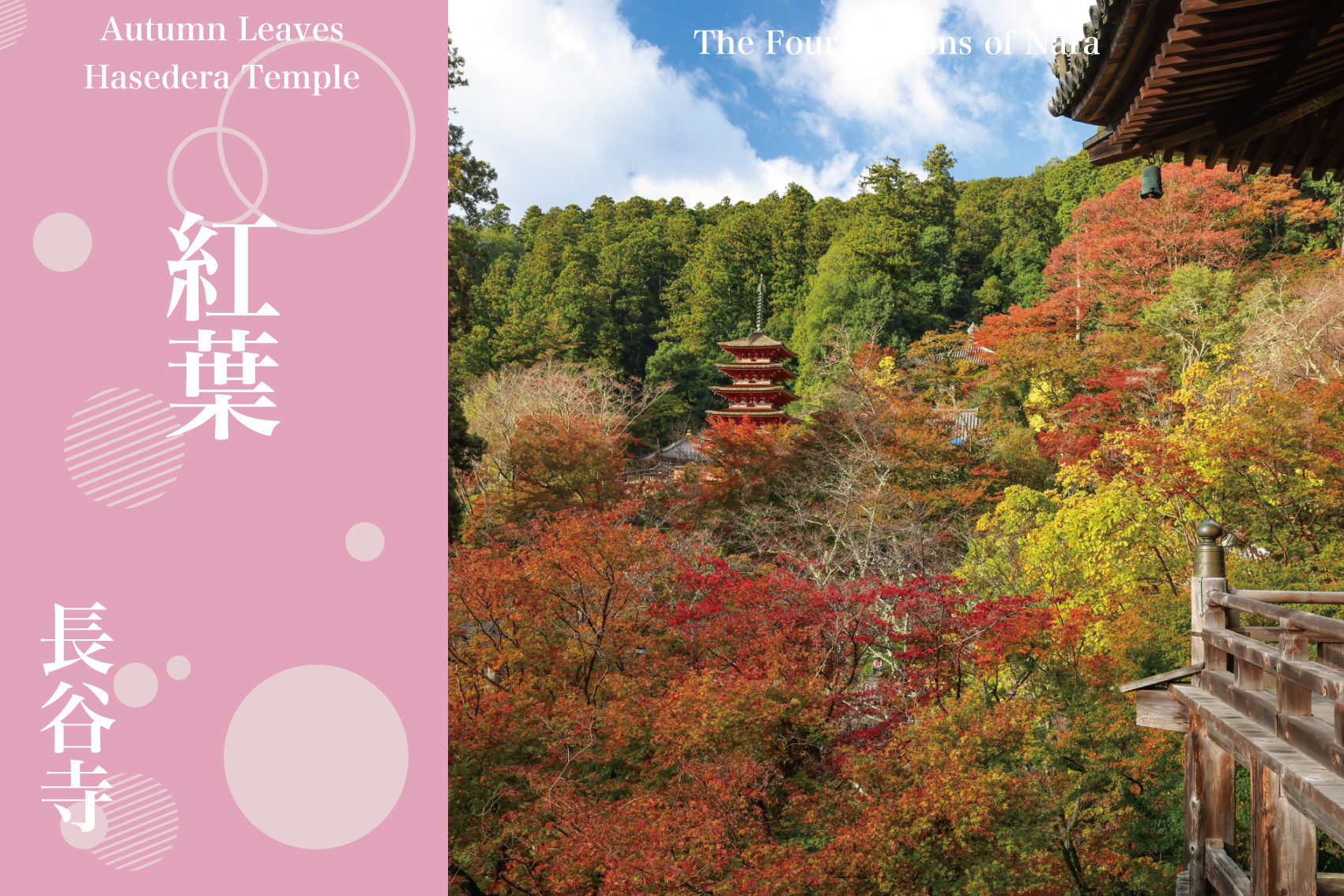 山全体が染まる秋の舞台──長谷寺で味わう“多層の紅葉美”の画像