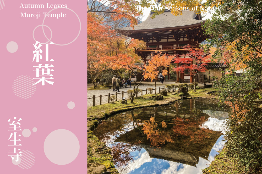 深い森に染まる女人高野──室生寺で感じる“しっとり秋の紅葉美”の画像